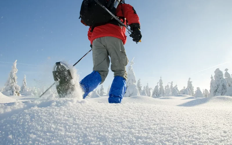 Winterurlaub im Hotel Der Wolfshof